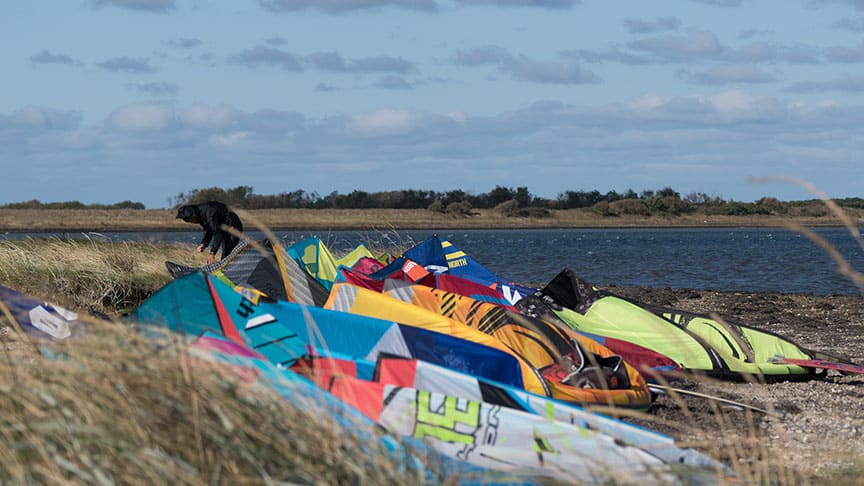 Primer Surf / Final Surf 2