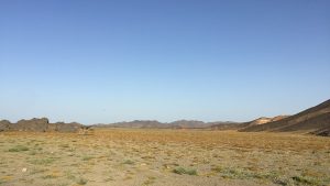 Egypt travel blog - the desert is alive! 4