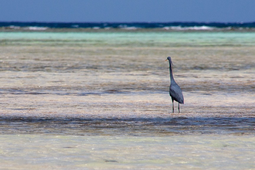 Ägypten Reiseblog - die letzten Tage... 1