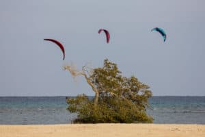 Dates online - Egypt kite trip 2020 10