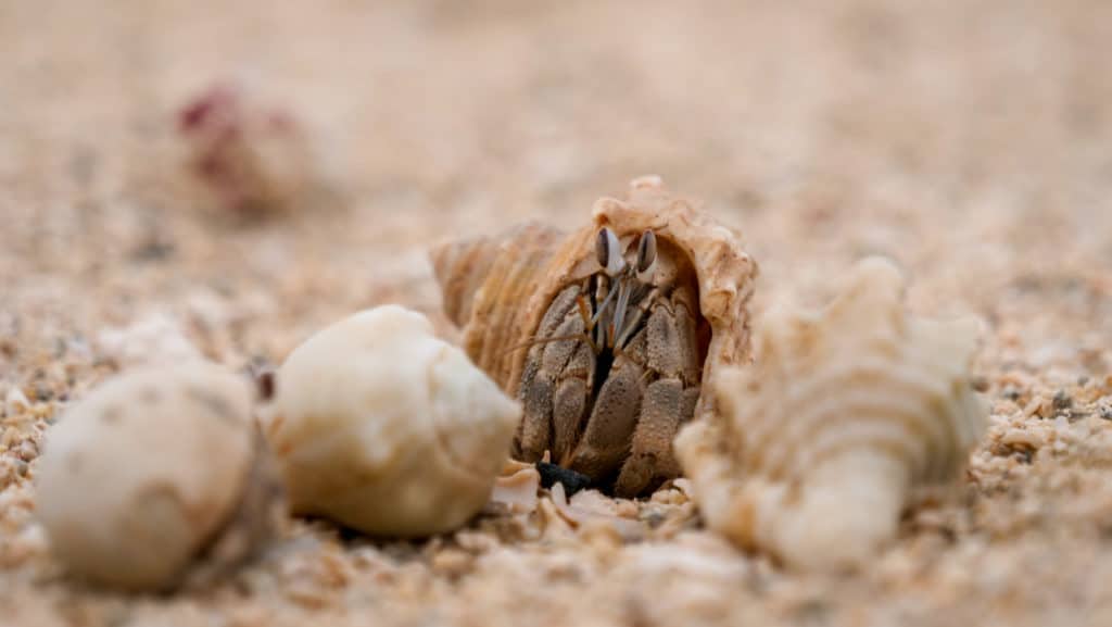 haeuserkampf-im-sand